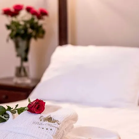 Palac 4* Wąsowo