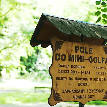 Palac فندق Wąsowo