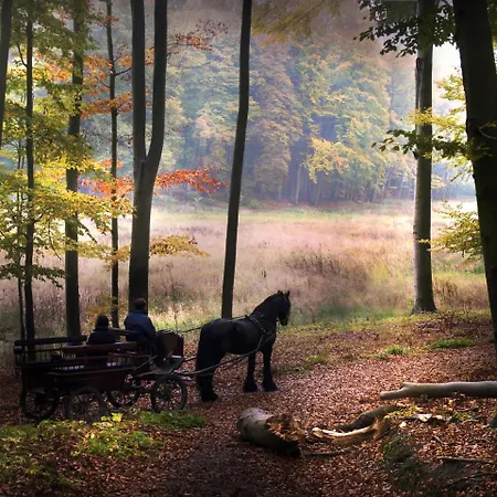 Hotell Palac Wąsowo